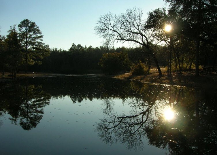 Aiken State Park, South Carolina, USA